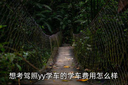想考駕照yy學車的學車費用怎么樣