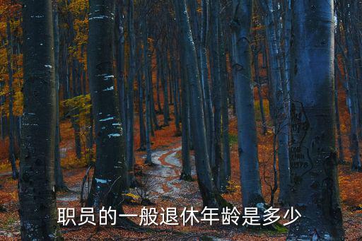 職員的一般退休年齡是多少