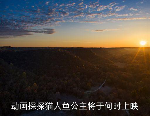 探探貓，探探貓的偶像是誰