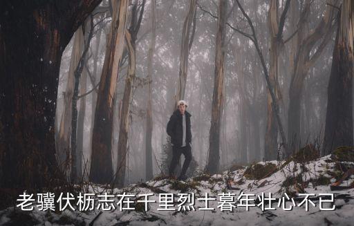 老驥伏櫪志在千里烈士暮年壯心不已
