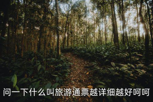 問一下什么叫旅游通票越詳細越好呵呵