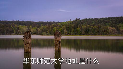 華東師范大學地址是什么