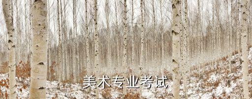 美術專業考試