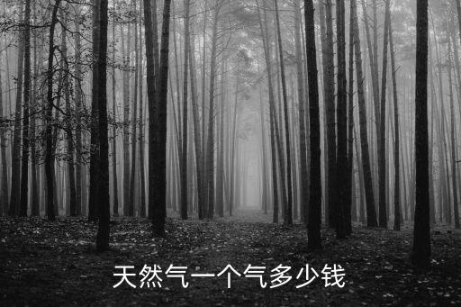 天然氣一方多少錢(qián)，天然氣一個(gè)氣多少錢(qián)
