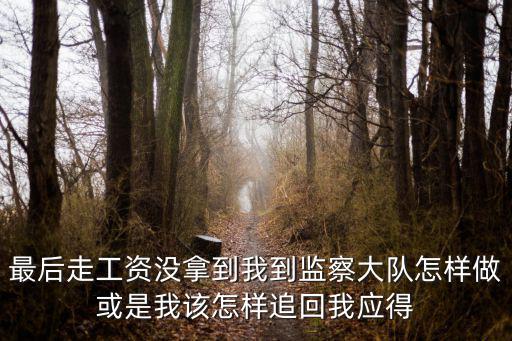 最后走工資沒拿到我到監察大隊怎樣做或是我該怎樣追回我應得