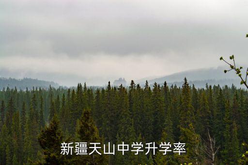 新疆天山中學升學率