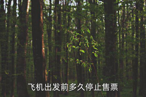 飛機出發(fā)前多久停止售票
