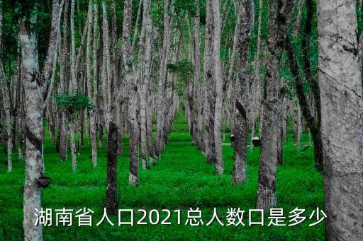 湖南省多少人口，湖南有多少人口