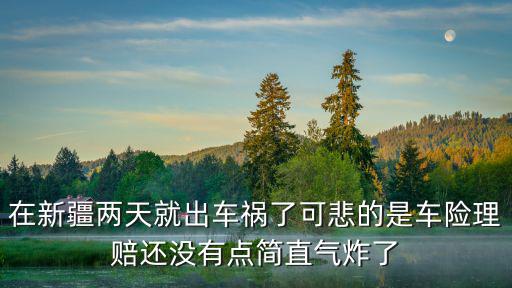 在新疆兩天就出車禍了可悲的是車險理賠還沒有點簡直氣炸了