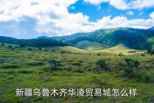 新疆烏魯木齊華凌貿易城怎么樣