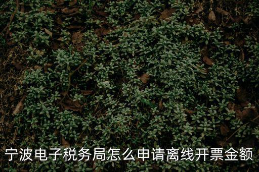 寧波電子稅務局，浙江國地稅聯合電子稅務局 打開來是空白頁面怎么辦