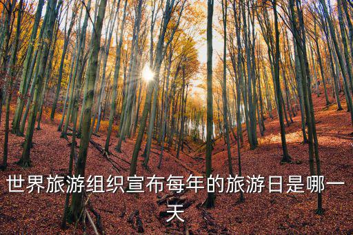 世界旅游組織宣布每年的旅游日是哪一天