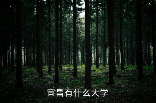 宜昌有什么大學
