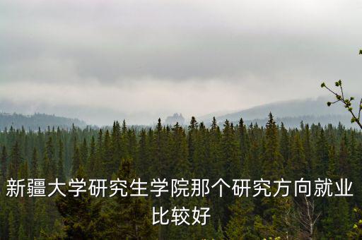 新疆大學研究生院，新疆大學研究生學院那個研究方向就業比較好