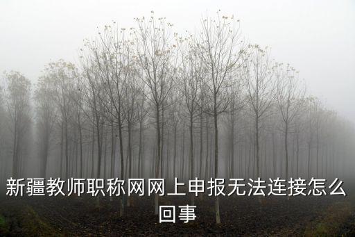 新疆職稱評審系統，新疆職稱評審系統中業績成果怎么填