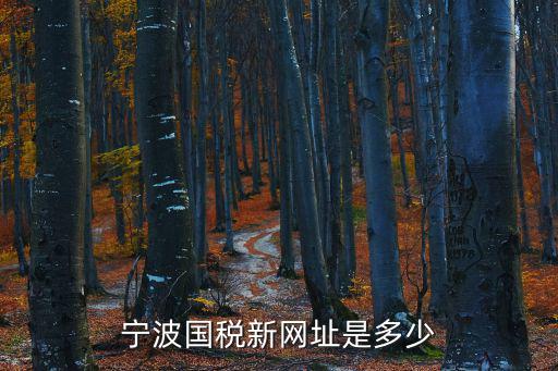 寧波市國家稅務局，寧波國稅新網址是多少