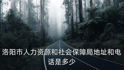 洛陽市人力資源和社會保障局地址和電話是多少