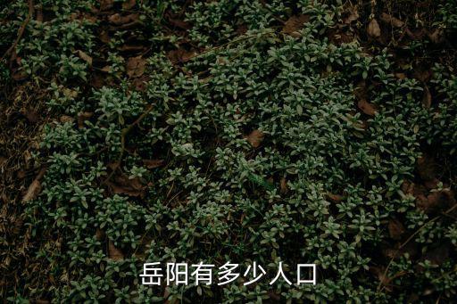 岳陽市人口，岳陽有多少人口
