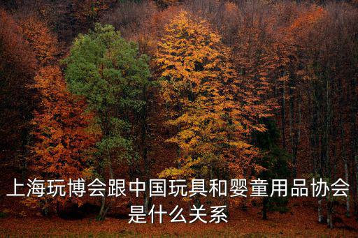 上海玩博會跟中國玩具和嬰童用品協會是什么關系