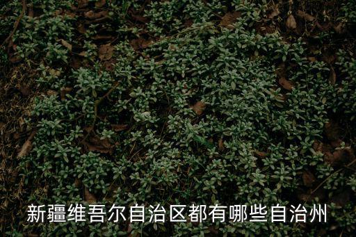 新疆維吾爾自治區(qū)都有哪些自治州