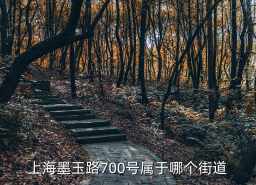 700號，成都高新區麗都路700號屬于什么社區