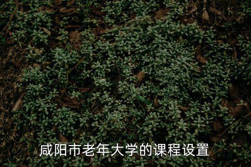 咸陽市老年大學的課程設置