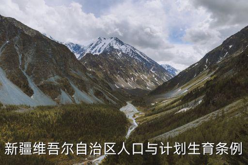 新疆維吾爾自治區人口與計劃生育條例，會關于修改新疆維吾爾自治區人口與計劃生育條例的決定2004