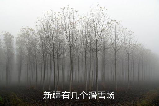 新疆有幾個滑雪場