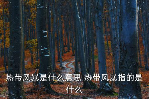 熱帶風暴是什么意思 熱帶風暴指的是什么