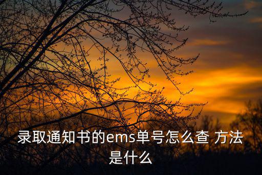 錄取通知書的ems單號怎么查 方法是什么