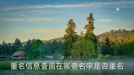 重名信息查詢在哪查名字是否重名