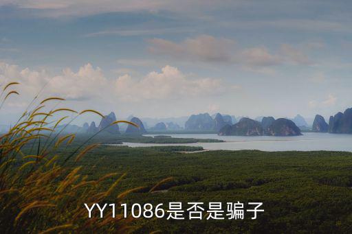 YY11086是否是騙子