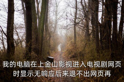 我的電腦在上金山影視進入電視劇網頁時顯示無響應后來退不出網頁再