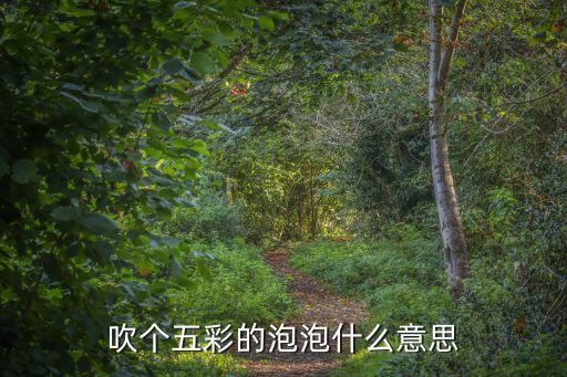 五彩的泡泡，吹個五彩的泡泡什么意思