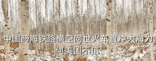 中國跨海鐵路橫空問世火車直沖大海為何美國不信