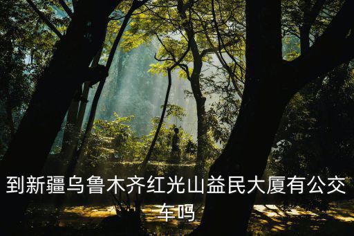 到新疆烏魯木齊紅光山益民大廈有公交車嗎
