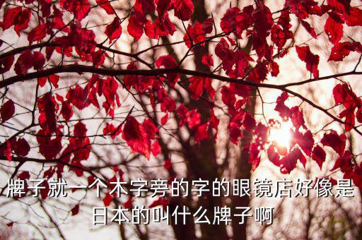 牌子就一個木字旁的字的眼鏡店好像是日本的叫什么牌子啊
