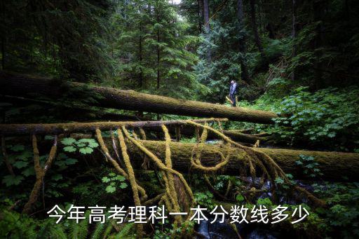 今年高考理科一本分數線多少