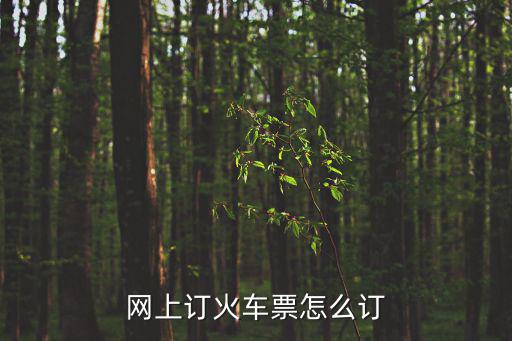 網(wǎng)上訂火車(chē)票怎么訂