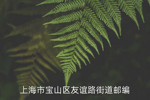 上海市寶山區(qū)友誼路街道郵編