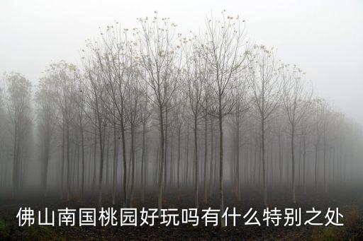 佛山南國桃園好玩嗎有什么特別之處