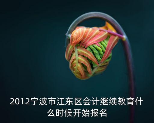 2012寧波市江東區會計繼續教育什么時候開始報名