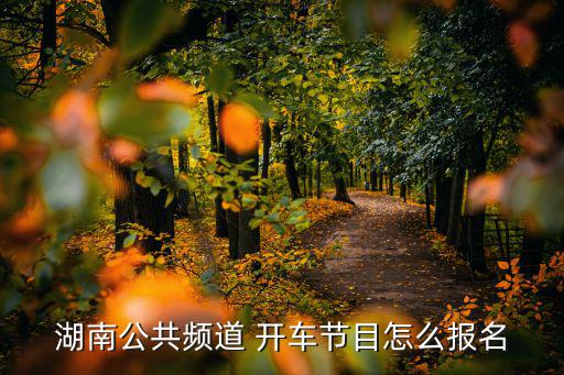 湖南公共，湖南公共頻道 開車節目怎么報名