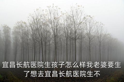 宜昌長航醫(yī)院生孩子怎么樣我老婆要生了想去宜昌長航醫(yī)院生不