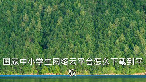 國家中小學(xué)生網(wǎng)絡(luò)云平臺怎么下載到平板