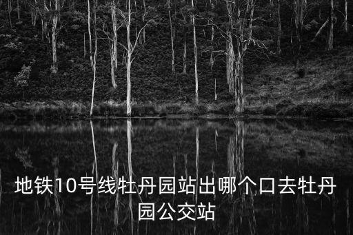 地鐵10號線牡丹園站出哪個口去牡丹園公交站