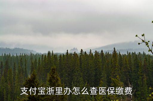 支付寶浙里辦怎么查醫保繳費