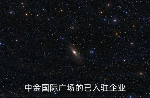 中金國際廣場的已入駐企業(yè)
