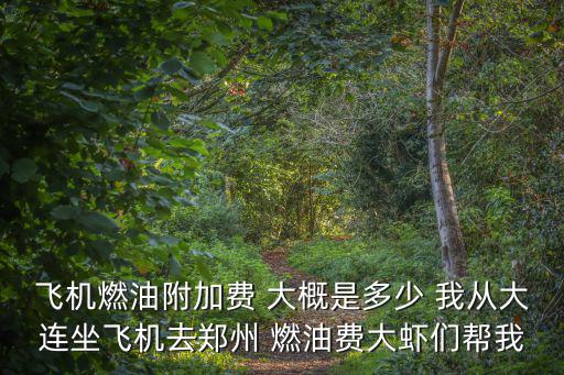 飛機燃油附加費 大概是多少 我從大連坐飛機去鄭州 燃油費大蝦們幫我