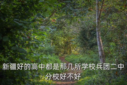 新疆好的高中都是那幾所學(xué)校兵團(tuán)二中分校好不好